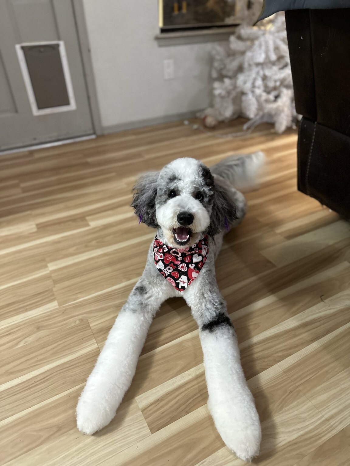 Lady wearing a patterned bandana