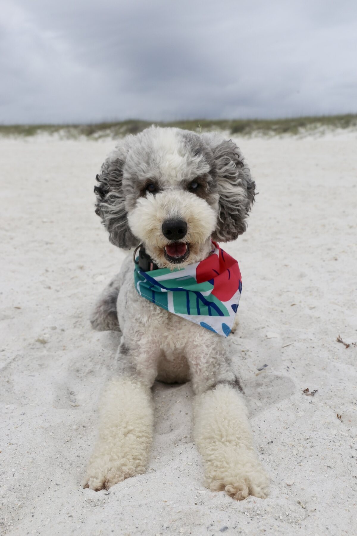 Lady enjoying a trip to the beach