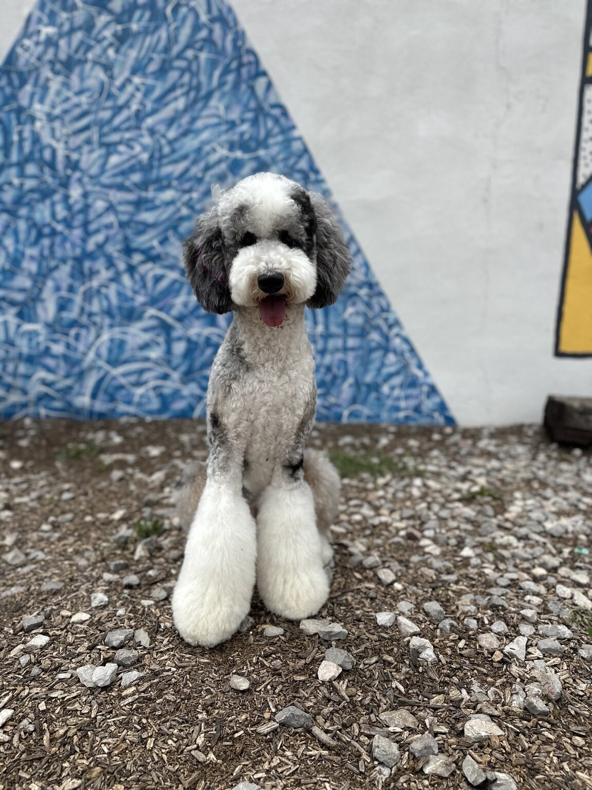 Lady sitting in front of a blue mural