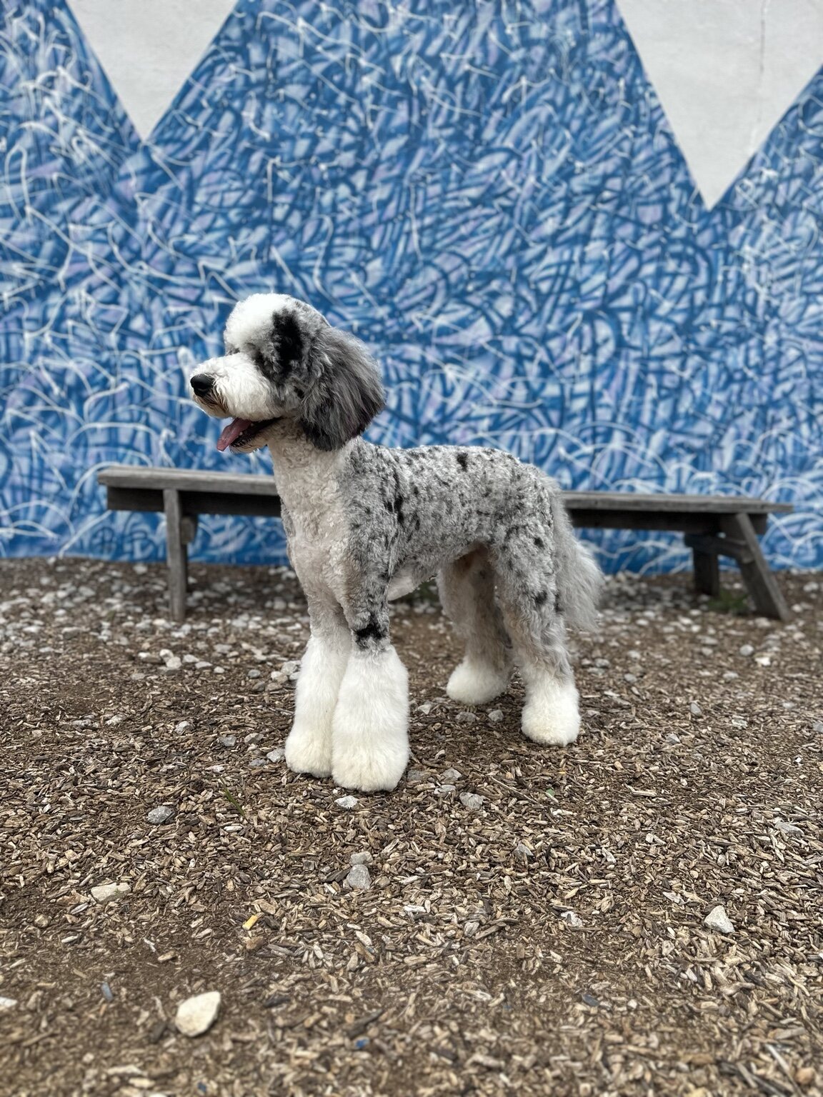 Lady standing in front of a blue mural