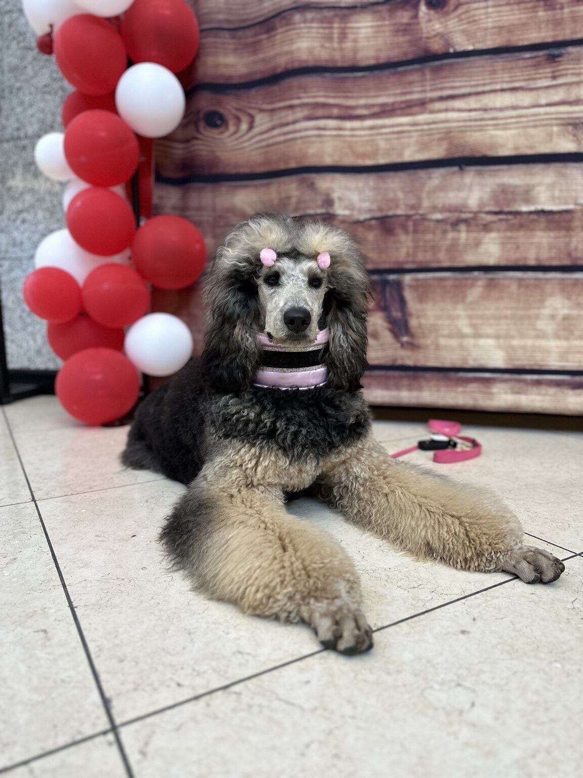 Riot posing at a celebration