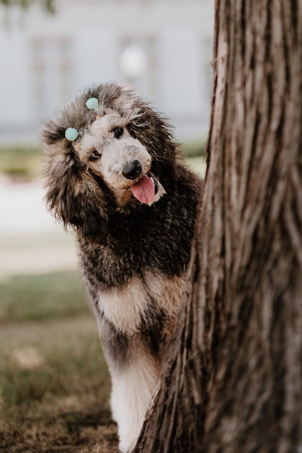 Riot standing beside a tree