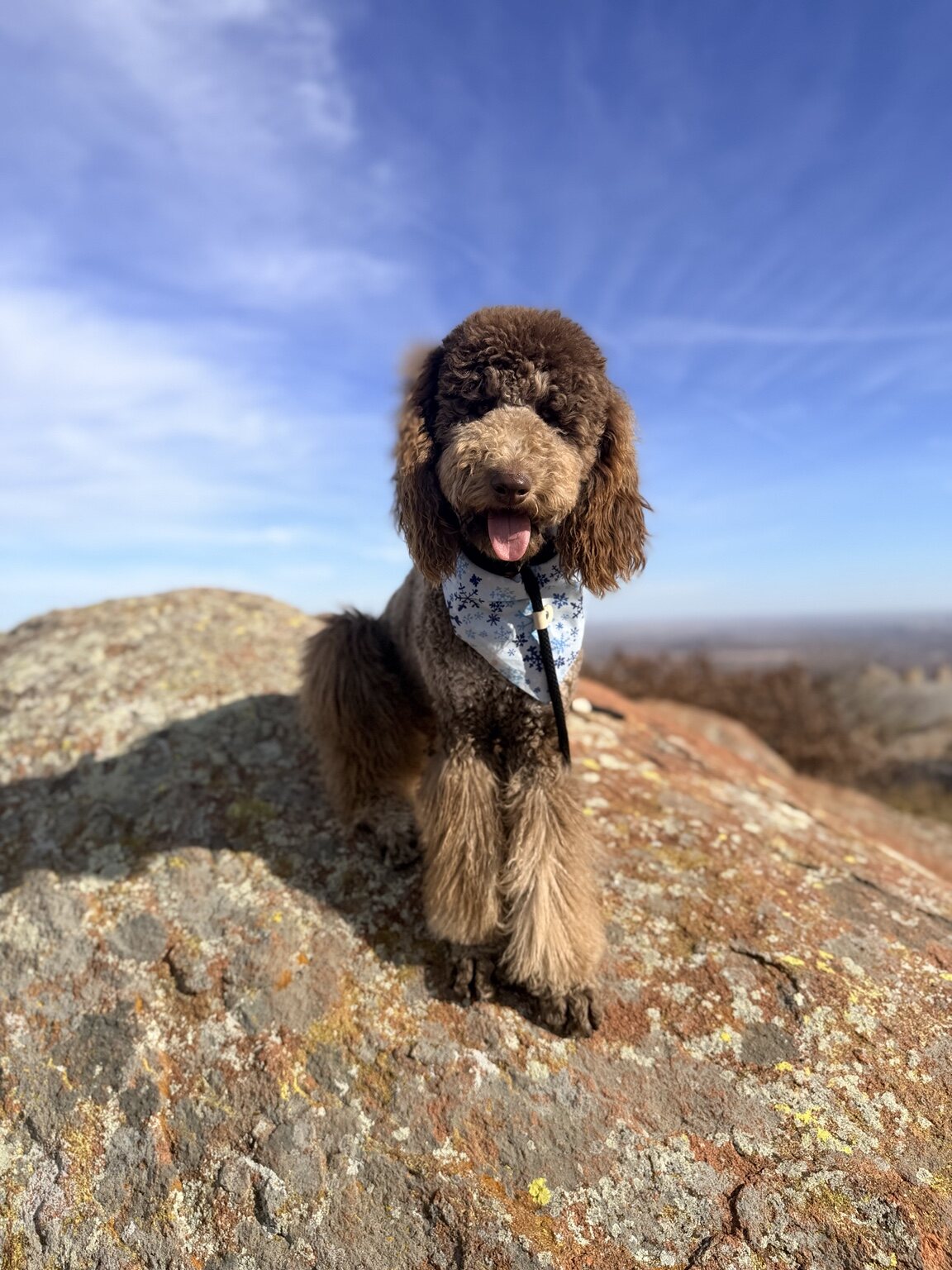 Rumor posing during a mountain hike
