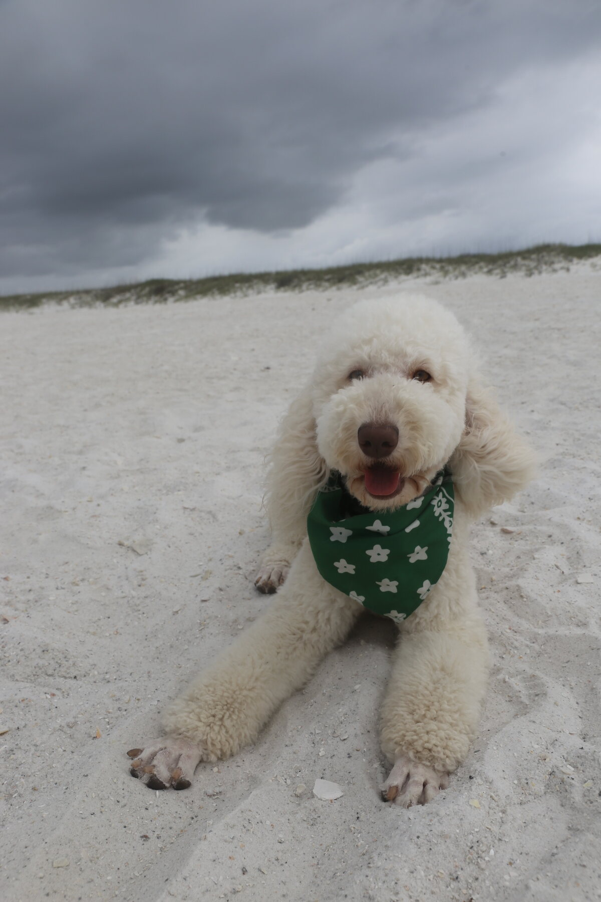 Secret enjoying a trip to the beach